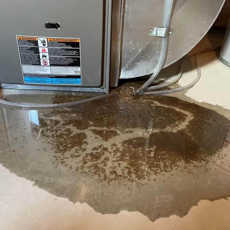 Appliance Leak Cleanup in Winchester, IN